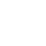 loupe 1-1